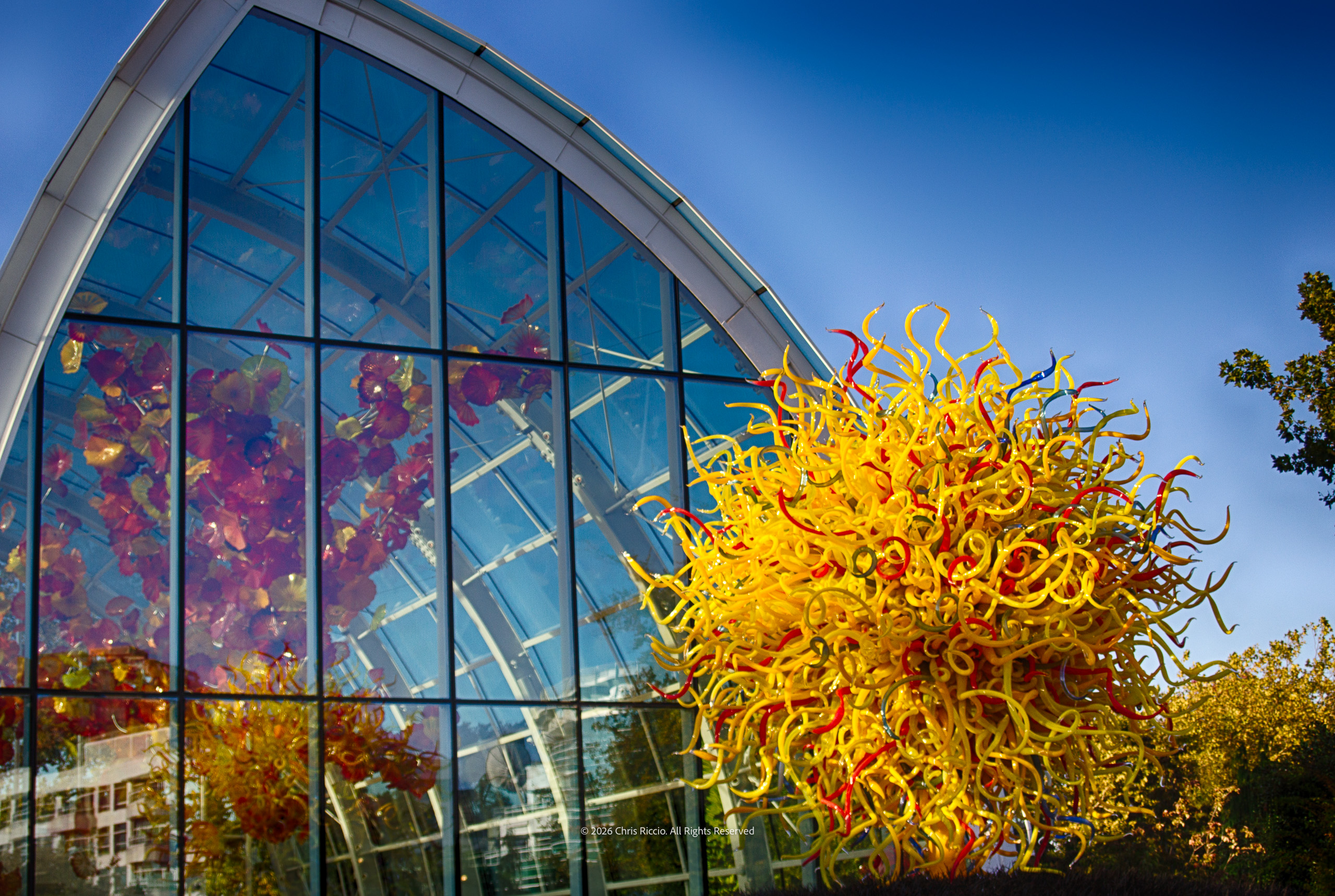 Chihuly Garden and Glass